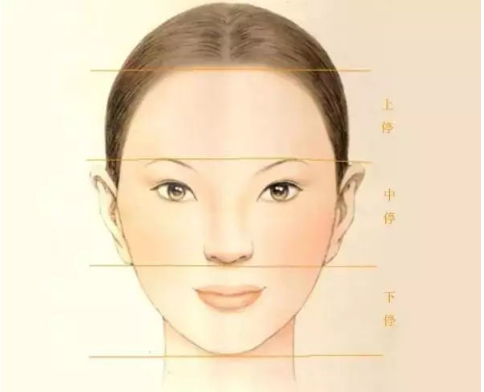 牙齿咬合侧面