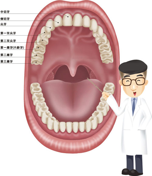 尖牙.jpg