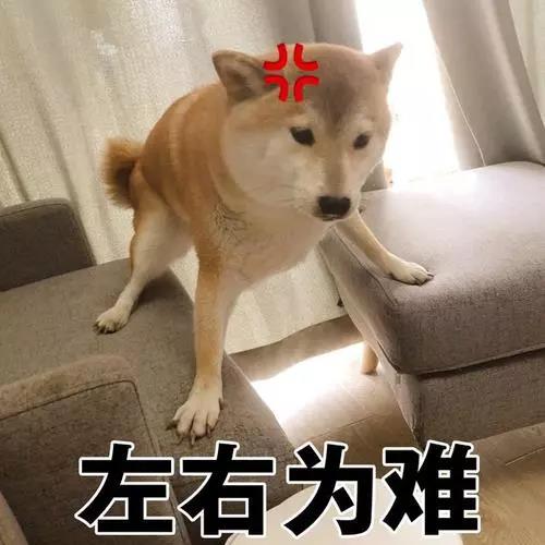【牙齿修复】99%的人都会犯的牙病急救错误，你中招了么？