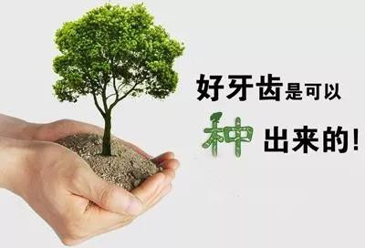【种植牙昂贵的秘密】原来受欢迎的是这三种植体