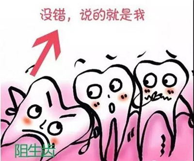 【昌平拔智齿】智齿，这 6 种情况一定要拔!
